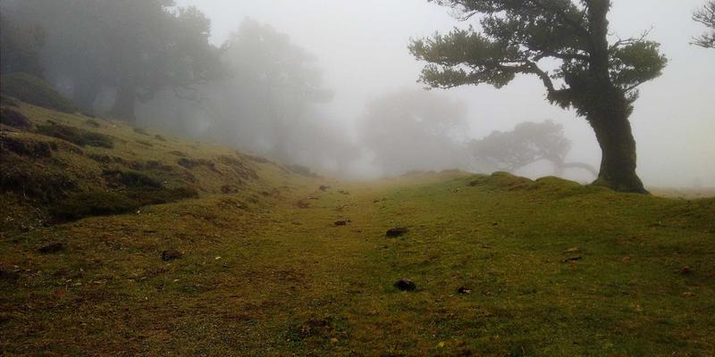 AI芯片国产化进程与自主生态构建：技术新闻深度解析与未来展望