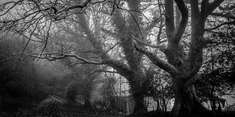 技术新闻 | 合成生物学如何驱动碳中和：从生物燃料革命到智能碳捕获系统