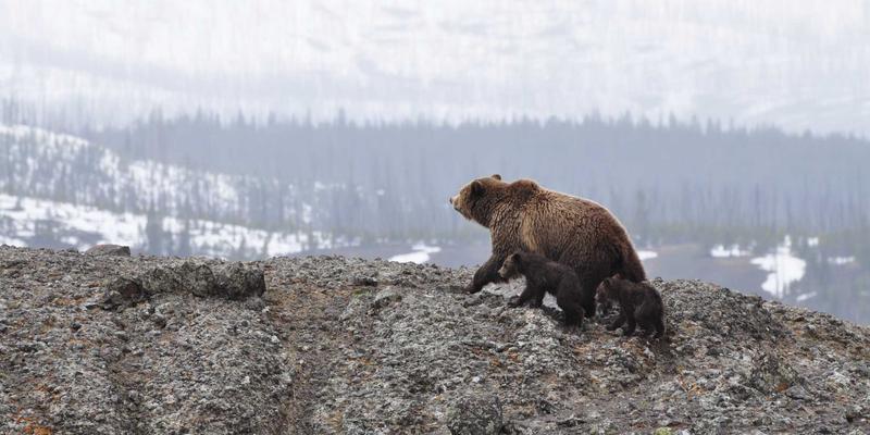 技术新闻周览：数码产品革新与未来科技趋势深度解读