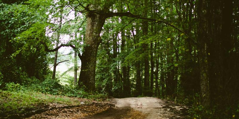 掌握技术新闻与青岛科技脉搏：科技资讯的三大核心优势解析