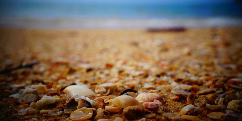 数字孪生技术赋能智慧城市与智能制造：青岛科技前沿观察