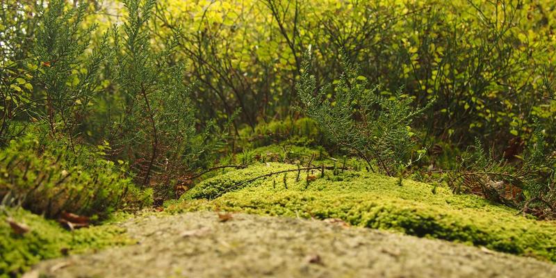 数字孪生技术赋能智慧城市：构建虚拟与现实的交互闭环 | 技术新闻与深度评测