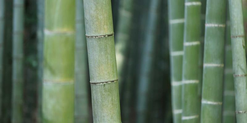 生成式AI重塑内容创作与设计：从电子产品评测到技术新闻的变革与版权迷思