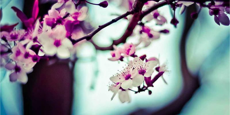 科技资讯8 | 2024年数码产品深度评测与趋势解读