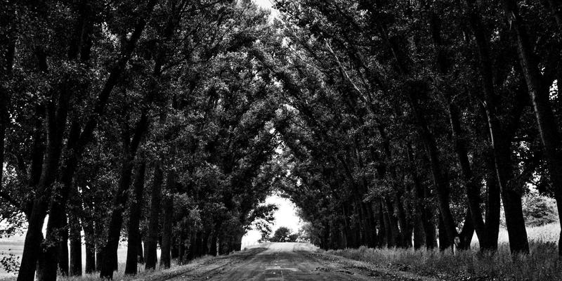 空间计算时代来临：苹果Vision Pro引发的生态变革与开发机遇