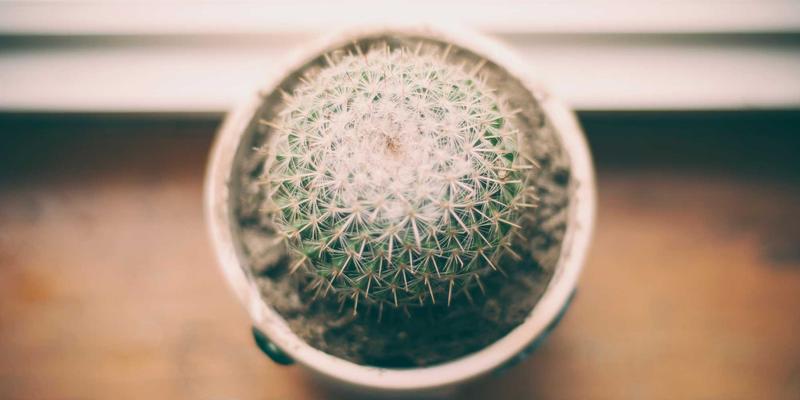 量子计算商业化进程与当前技术瓶颈分析：从实验室走向数码产品的革命之路