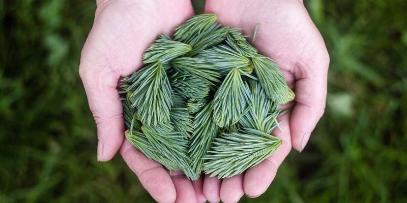 量子计算实用化进程：从实验室走向商业化应用的关键挑战与前景 | 青岛科技观察