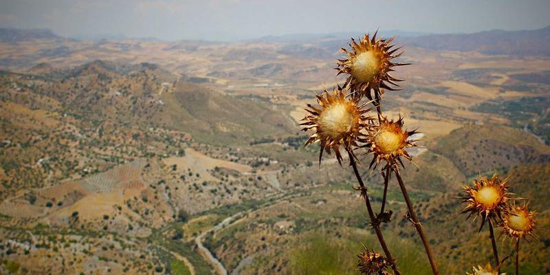 青岛科技前沿：数字孪生技术如何重塑城市治理与智慧园区新生态