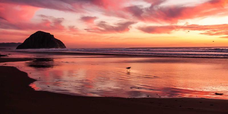 青岛科技前沿：隐私计算如何重塑数码产品评测的数据安全新范式