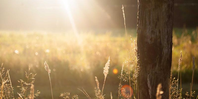 青岛科技新浪潮：从海洋创新到数字转型，技术新闻中的区域崛起密码