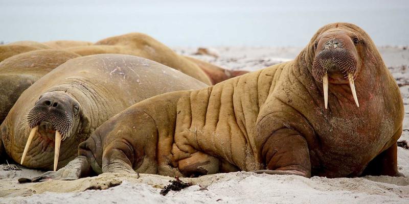 青岛科技新浪潮:从海洋创新到数字转型,技术新闻中的城市跃迁