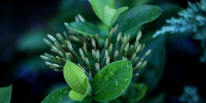 青岛科技新浪潮：从海洋科研到智慧生活，技术新闻中的数码产品变革