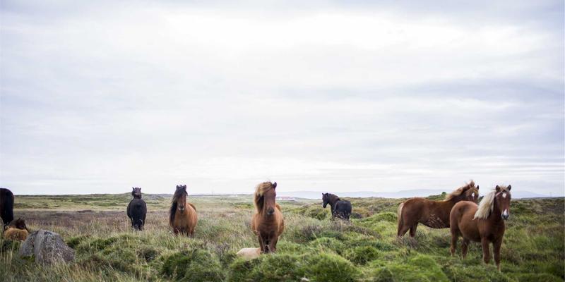 青岛科技新浪潮：从海洋科研到智能硬件，技术新闻与电子产品评测全景观察