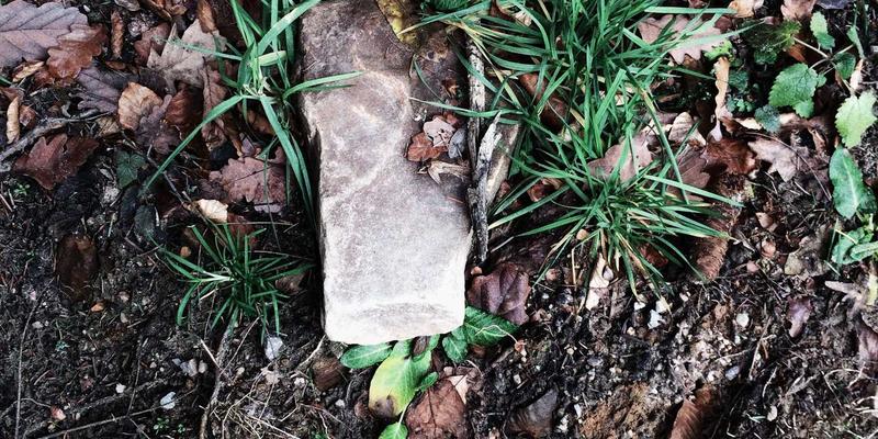 青岛科技新浪潮：从海洋科研到智能硬件，本土创新如何重塑电子产品评测生态