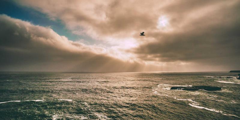 青岛科技聚焦：6G技术研发进展与未来网络架构的潜在变革