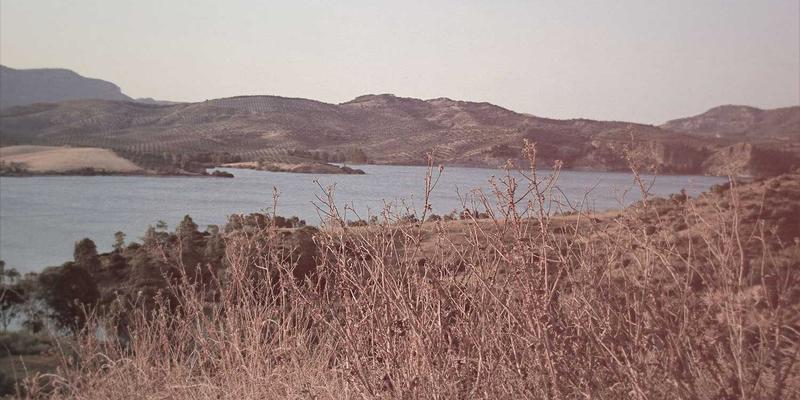 青岛科技资讯新风向：把握数码脉搏，践行最佳实践